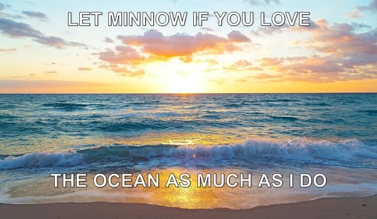 Nech Minnow