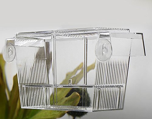 PETS ISLAND Akvarijné ryby Chovné boxy Dvojité vyliahnutie inkubátora Guppies (7,7 palca)