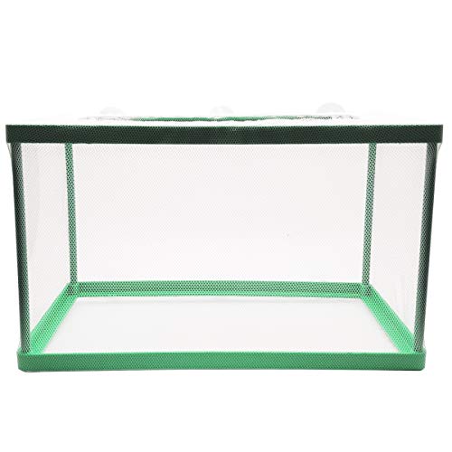 Box na množenie akvarijných rýb, box na izoláciu rýb, násadový box, inkubátor mladých rýb, inkubátor na izoláciu vody (zelená)