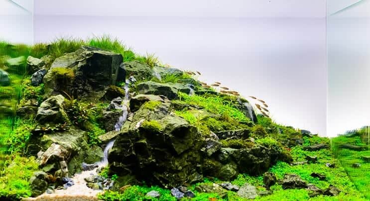 Prírodný aquascape