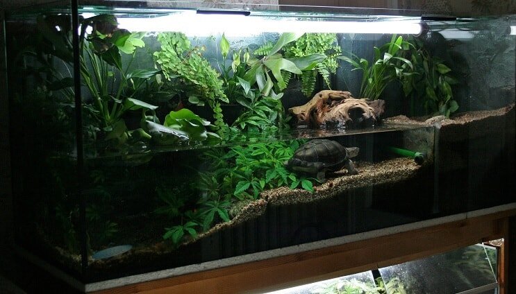 Myšlienka Tank Obyvateľ
